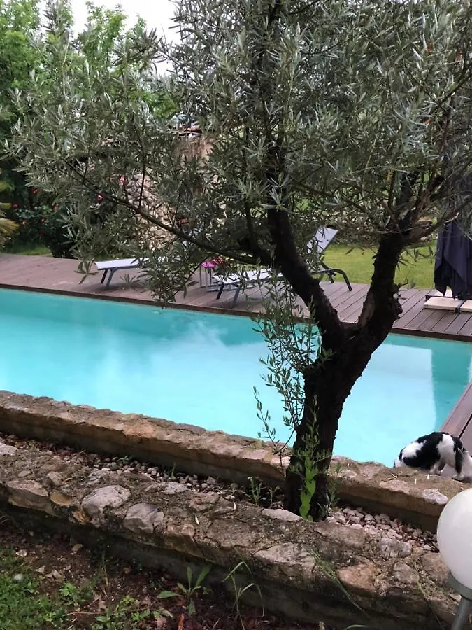 Bed and Breakfast Marquis De Carrou Rochefort-Samson 0*,